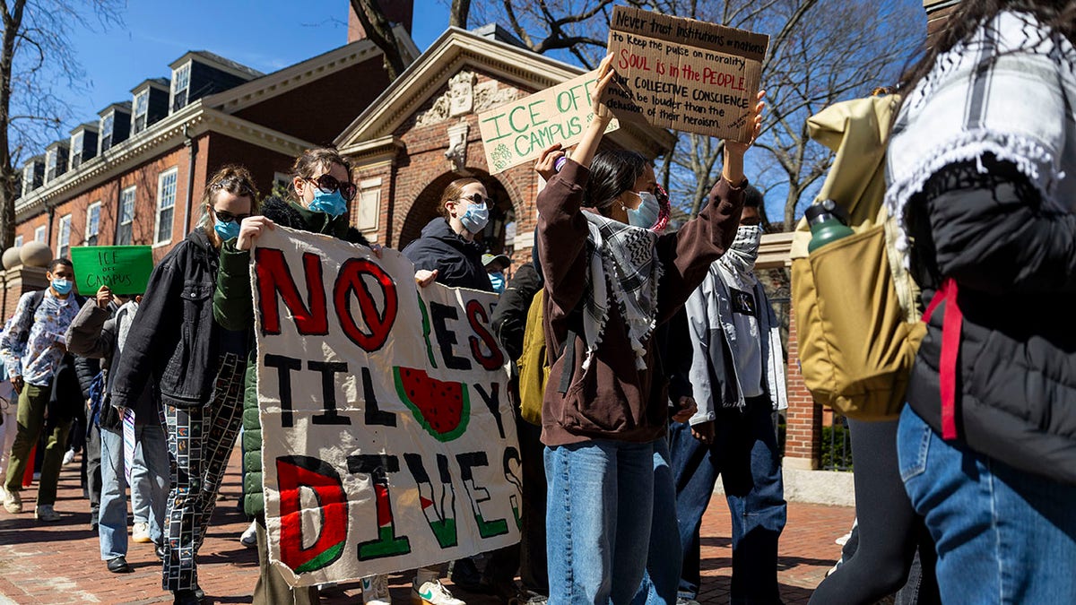 Anti-Israel Protest in Harvard