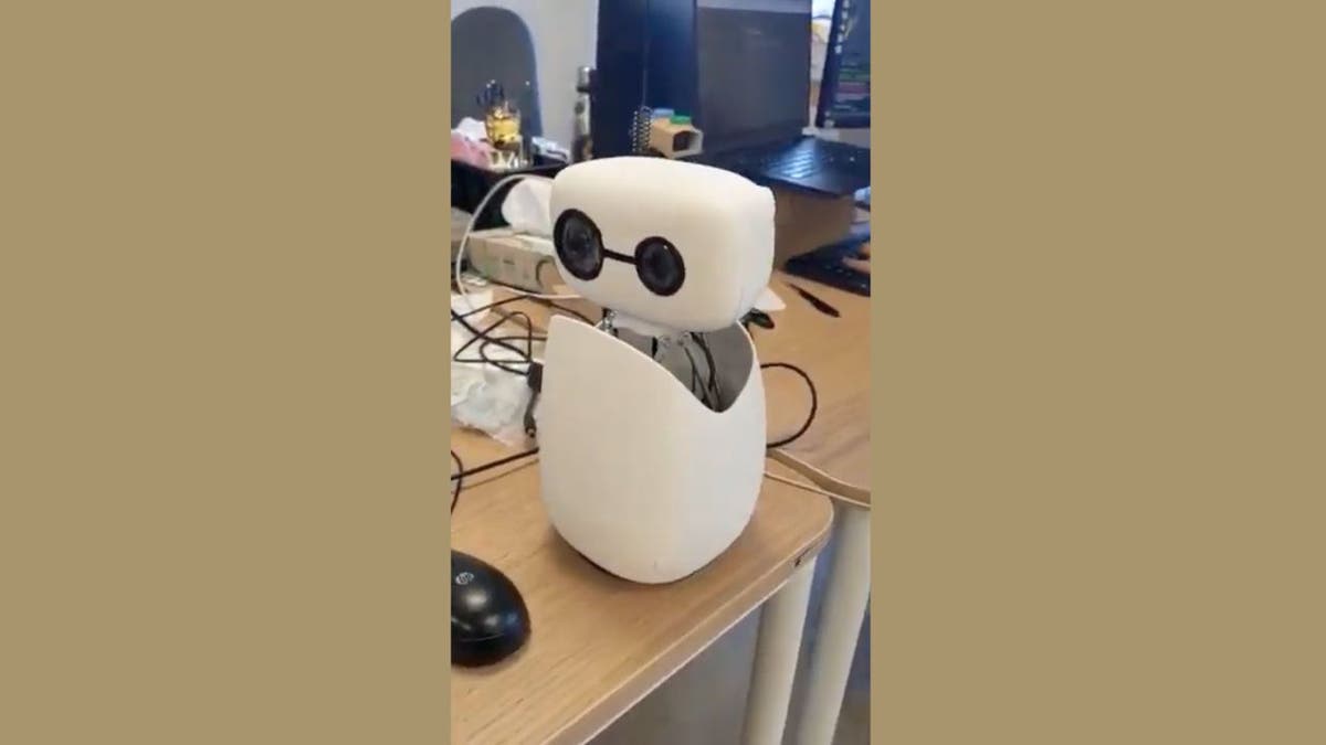New robots make anything to try at home